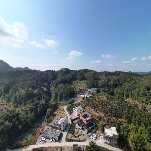 天上掉下一个猪