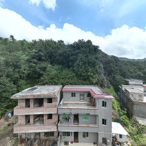 天上掉下一个猪