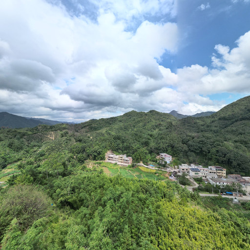 天上掉下一个猪