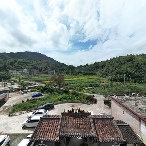 天上掉下一个猪